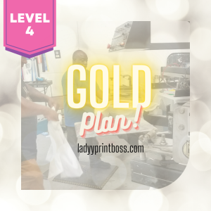 Gold Coaching Plan: The Executive Accelerator