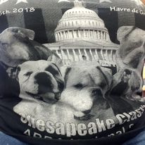 Start a Screen Print Business Dallas Texas - Image 27